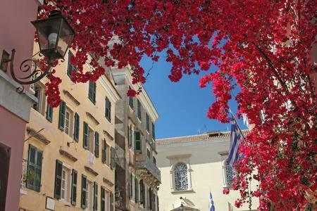 Leone Old Town Apartment Corfu  Eksteriør bilde